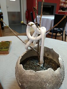 20190304_IMG142839510_MotoG4-JEB